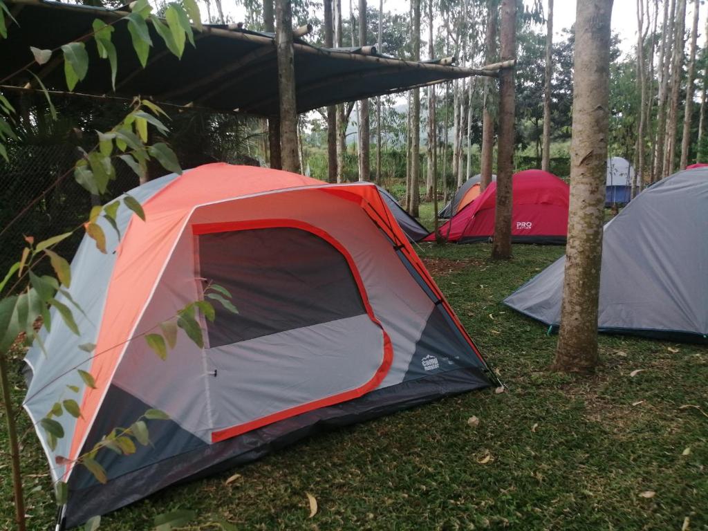 Murchison Backpackers Lodge