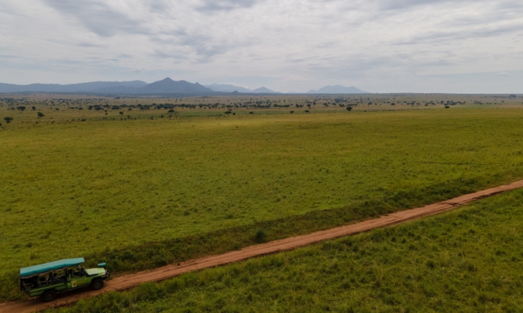 Murchison Falls Safaris from Kidepo - Trip Planning Tips
