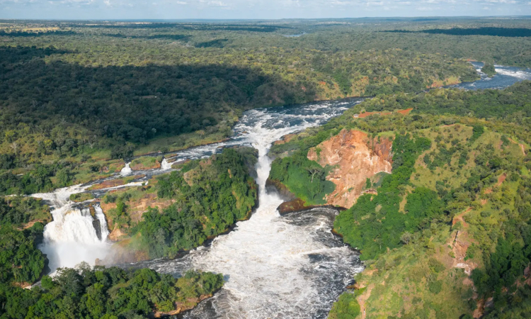 Top Attractions & Things to See in Murchison Falls National Park