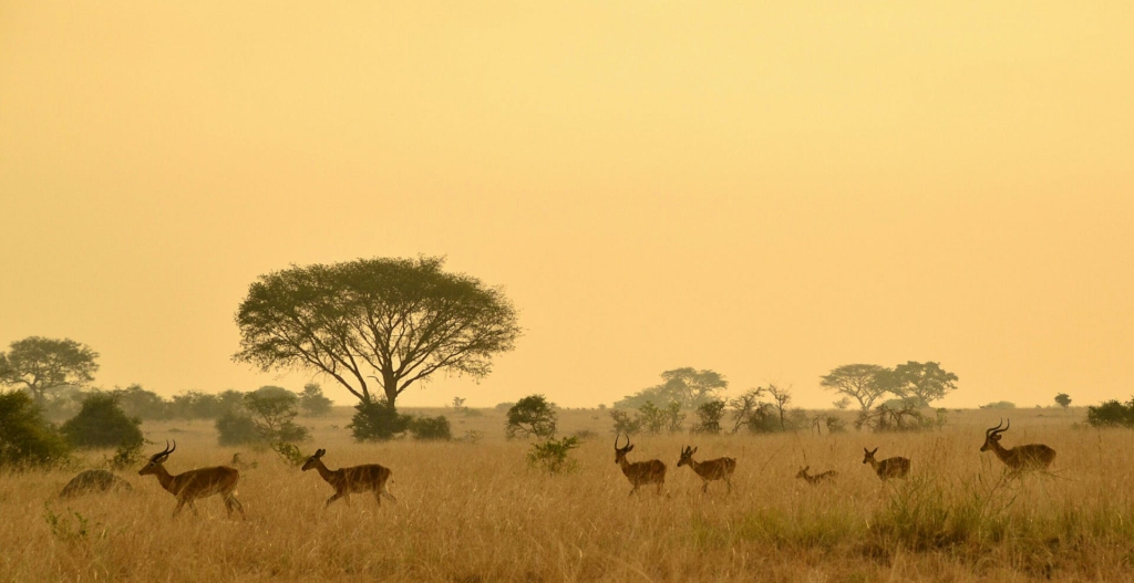 Visiting Murchison Falls in September